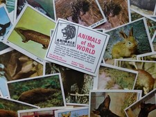 Panini Animals Of The World Cards - Choose The Numbers You Need