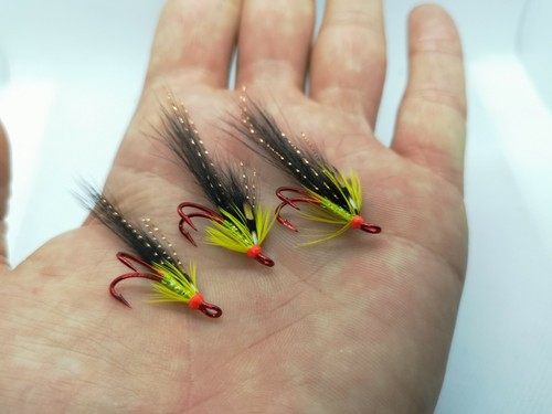 Yellow gledswood shrimp - 3,
