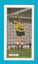 REG MATTHEWS of CHELSEA -