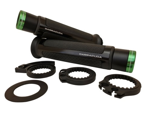 Kawasaki zrx1200 barracuda - kawasaki,
