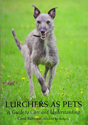 Lurchers pets guide to - guide,