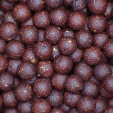 Krill carp bait boilie - carp,