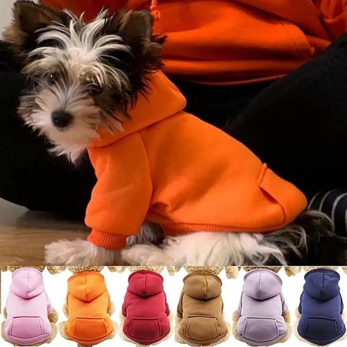 Pet dog hoodie - hoodie, jumper