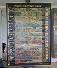 VINTAGE | SCHOOL WALL MAP