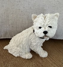 Westie Dog West Highland