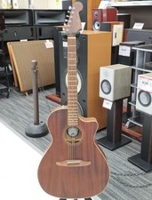 FENDER NEWPORTER SPECIAL