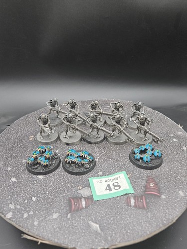 10x necron warriors - necron, +