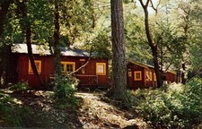 postcard Darlingtonia Cottages Gasquet California B0724
