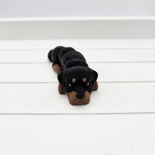 Printed rottweiler dog - printed,