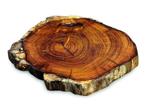 Teak root slice coaster - root,