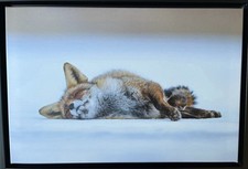 John Lewis winter fox floating