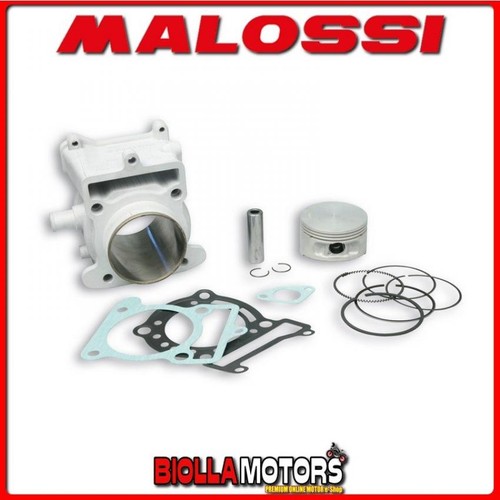 3111248 cylinder malossi 170cc - cylinder,