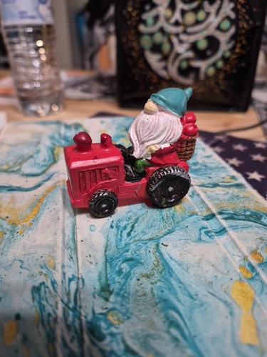 Small garden gnomes riding - small,