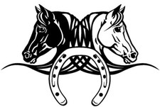 medium car van bonnet horse