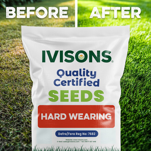Grass seed hardwearing - grass,