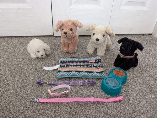 Our generation dogs and - and, kennel