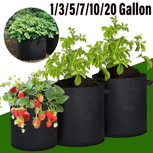 Plant grow bags fabric - plant,