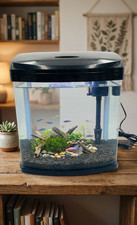 Aquarium Nano Tank 20L Curved