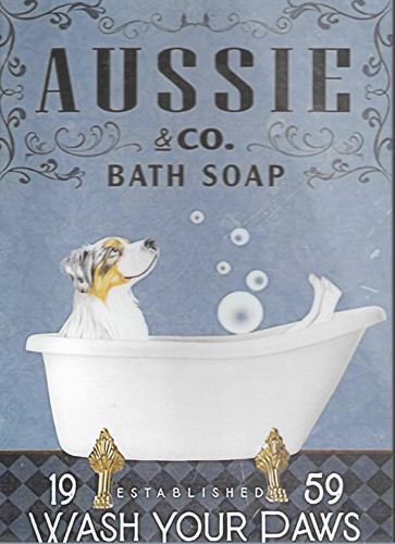 Aussie bath soap wash - co.,