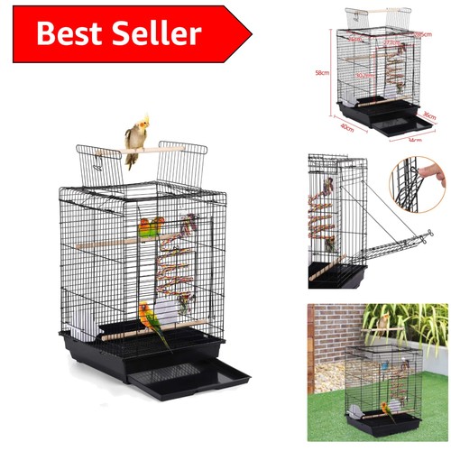 Travel friendly black bird - travel-friendly,