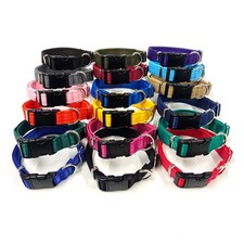Dog Collar Adjustable In