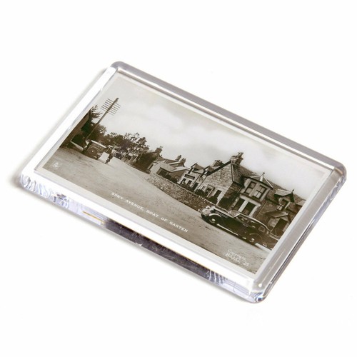 Fridge magnet vintage - fridge,