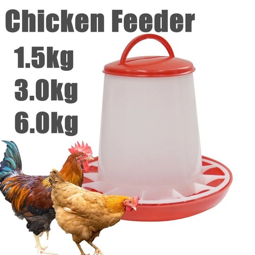 Chicken poultry feeders - chicken,