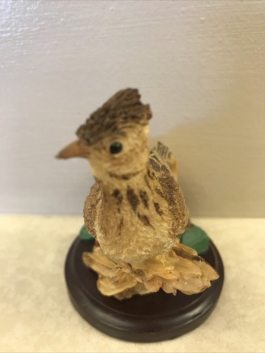 The country bird - bird, collection