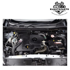 Genuine Nissan Juke Nismo RS