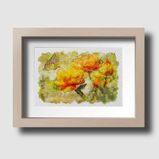 Butterfly Wildlife Watercolour Sketch Home Decor Wall Art Print Unframed Picture