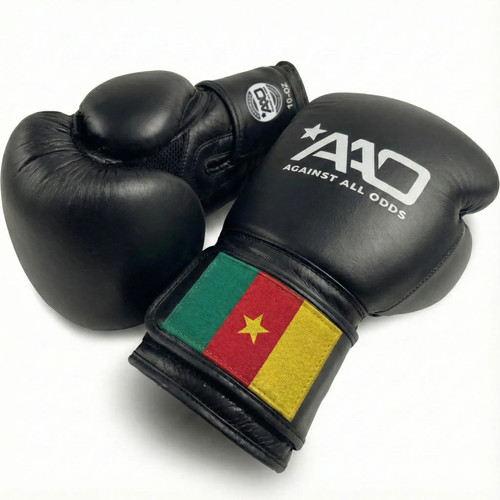 Cameroon boxing gloves - cameroon,
