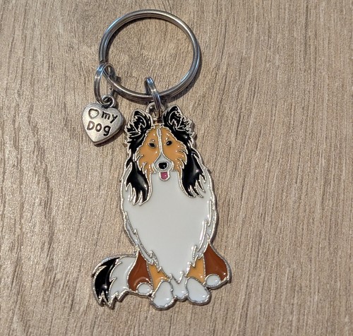 Adorable rough collie lassie - rough,
