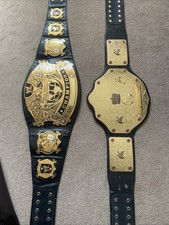 Official WWE Adult Undisputed