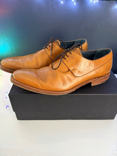 Barker creative collection tan - creative,