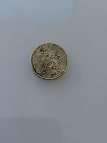 Old pound coins - £1,