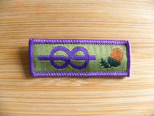 Current UK Scouting Explorer Scout Young Leader Adult Recognition Award