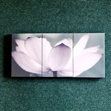 Flower Canvas Wall Art Floral 3 Piece Split Picture Print Next Home Decor VGC