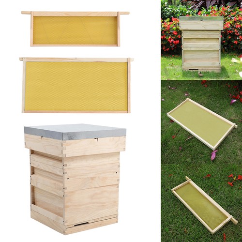 National wooden beehive - national, bee