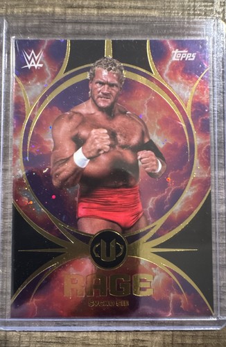 2025 topps universe - 2025,
