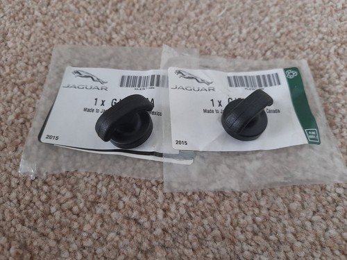 New genuine jaguar - new,
