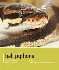 Ball Pythons - Pet Expert By