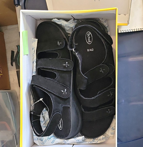 Scholl dove women black - scholl,