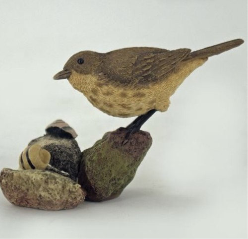 Thrush bird stones small - bird,