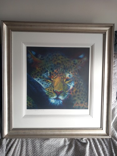 Rolf harris leopard night - leopard,
