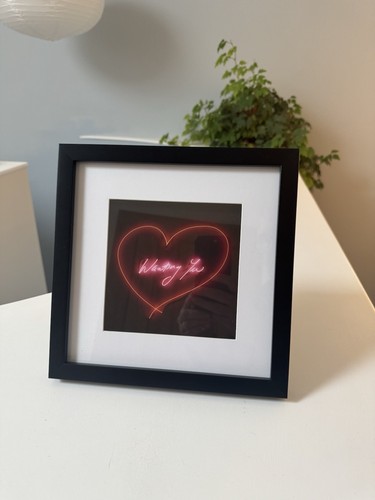 Tracey emin wanting you - wanting,