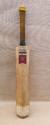 Salix ajk andrew - ajk,