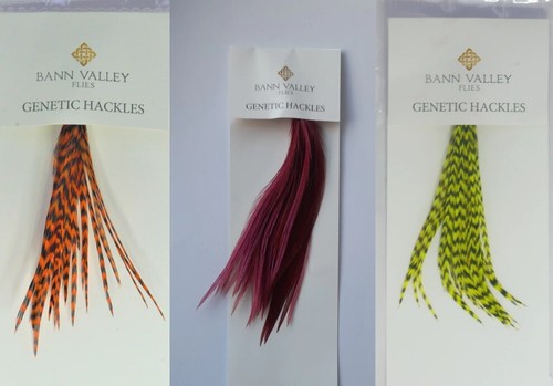 Bann valley metz neck - bann, hackle