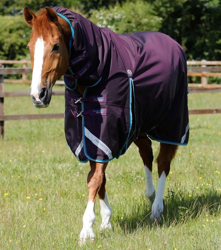 Premier equine buster storm - equine,