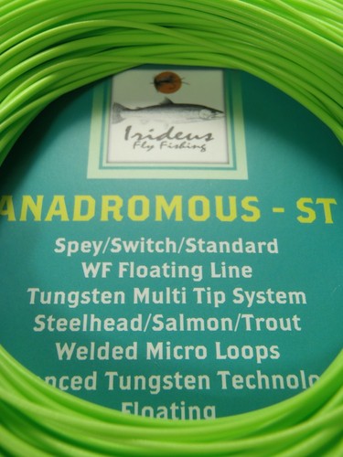 Floating fly fishing line - floating,