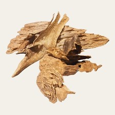 Wild Lombok Agarwood |